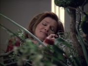 Filename=extant_StarTrek_VOY_6x02-SurvivalInstinct_00443.jpg
Filesize=180KiB
Dimensions=1200x900
Date added=Dec 27, 2019 extant_StarTrek_VOY_6x02-SurvivalInstinct_00443.jpg