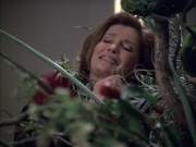 Filename=extant_StarTrek_VOY_6x02-SurvivalInstinct_00444.jpg
Filesize=174KiB
Dimensions=1200x900
Date added=Dec 27, 2019 extant_StarTrek_VOY_6x02-SurvivalInstinct_00444.jpg