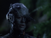 extant_StarTrek_VOY_6x02-SurvivalInstinct_00787.jpg