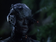 extant_StarTrek_VOY_6x02-SurvivalInstinct_00788.jpg
