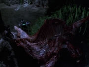 extant_StarTrek_VOY_6x02-SurvivalInstinct_01248.jpg