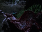 extant_StarTrek_VOY_6x02-SurvivalInstinct_01249.jpg