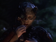 extant_StarTrek_VOY_6x02-SurvivalInstinct_01303.jpg