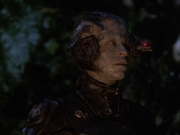 Filename=extant_StarTrek_VOY_6x02-SurvivalInstinct_01339.jpg
Filesize=131KiB
Dimensions=1200x900
Date added=Dec 27, 2019 extant_StarTrek_VOY_6x02-SurvivalInstinct_01339.jpg