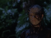 Filename=extant_StarTrek_VOY_6x02-SurvivalInstinct_01409.jpg
Filesize=131KiB
Dimensions=1200x900
Date added=Dec 27, 2019 extant_StarTrek_VOY_6x02-SurvivalInstinct_01409.jpg