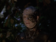 extant_StarTrek_VOY_6x02-SurvivalInstinct_01445.jpg