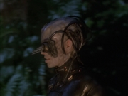 extant_StarTrek_VOY_6x02-SurvivalInstinct_01448.jpg