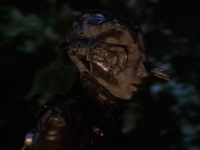 extant_StarTrek_VOY_6x02-SurvivalInstinct_01451.jpg