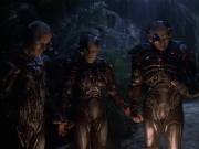 Filename=extant_StarTrek_VOY_6x02-SurvivalInstinct_01475.jpg
Filesize=184KiB
Dimensions=1200x900
Date added=Dec 27, 2019 extant_StarTrek_VOY_6x02-SurvivalInstinct_01475.jpg