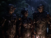 extant_StarTrek_VOY_6x02-SurvivalInstinct_01514.jpg