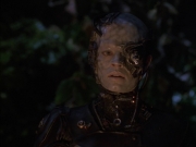 extant_StarTrek_VOY_6x02-SurvivalInstinct_01519.jpg