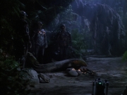 Filename=extant_StarTrek_VOY_6x02-SurvivalInstinct_02513.jpg
Filesize=163KiB
Dimensions=1200x900
Date added=Dec 27, 2019 extant_StarTrek_VOY_6x02-SurvivalInstinct_02513.jpg