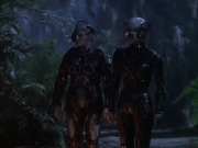 extant_StarTrek_VOY_6x02-SurvivalInstinct_02539.jpg