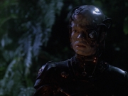 Filename=extant_StarTrek_VOY_6x02-SurvivalInstinct_02550.jpg
Filesize=144KiB
Dimensions=1200x900
Date added=Dec 27, 2019 extant_StarTrek_VOY_6x02-SurvivalInstinct_02550.jpg