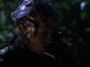 Filename=extant_StarTrek_VOY_6x02-SurvivalInstinct_02568.jpg
Filesize=137KiB
Dimensions=1200x900
Date added=Dec 27, 2019 extant_StarTrek_VOY_6x02-SurvivalInstinct_02568.jpg