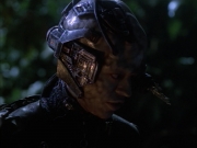 Filename=extant_StarTrek_VOY_6x02-SurvivalInstinct_02569.jpg
Filesize=144KiB
Dimensions=1200x900
Date added=Dec 27, 2019 extant_StarTrek_VOY_6x02-SurvivalInstinct_02569.jpg