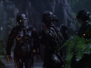 Filename=extant_StarTrek_VOY_6x02-SurvivalInstinct_02605.jpg
Filesize=152KiB
Dimensions=1200x900
Date added=Dec 27, 2019 extant_StarTrek_VOY_6x02-SurvivalInstinct_02605.jpg