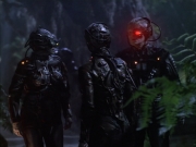 Filename=extant_StarTrek_VOY_6x02-SurvivalInstinct_02607.jpg
Filesize=167KiB
Dimensions=1200x900
Date added=Dec 27, 2019 extant_StarTrek_VOY_6x02-SurvivalInstinct_02607.jpg