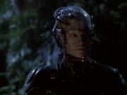 Filename=extant_StarTrek_VOY_6x02-SurvivalInstinct_02628.jpg
Filesize=147KiB
Dimensions=1200x900
Date added=Dec 27, 2019 extant_StarTrek_VOY_6x02-SurvivalInstinct_02628.jpg