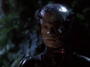 Filename=extant_StarTrek_VOY_6x02-SurvivalInstinct_02637.jpg
Filesize=142KiB
Dimensions=1200x900
Date added=Dec 27, 2019 extant_StarTrek_VOY_6x02-SurvivalInstinct_02637.jpg