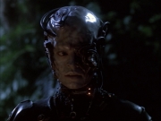 Filename=extant_StarTrek_VOY_6x02-SurvivalInstinct_02639.jpg
Filesize=138KiB
Dimensions=1200x900
Date added=Dec 27, 2019 extant_StarTrek_VOY_6x02-SurvivalInstinct_02639.jpg