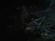 Filename=extant_StarTrek_VOY_6x02-SurvivalInstinct_02648.jpg
Filesize=104KiB
Dimensions=1200x900
Date added=Dec 27, 2019 extant_StarTrek_VOY_6x02-SurvivalInstinct_02648.jpg