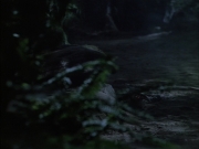 Filename=extant_StarTrek_VOY_6x02-SurvivalInstinct_02650.jpg
Filesize=131KiB
Dimensions=1200x900
Date added=Dec 27, 2019 extant_StarTrek_VOY_6x02-SurvivalInstinct_02650.jpg
