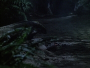 Filename=extant_StarTrek_VOY_6x02-SurvivalInstinct_02652.jpg
Filesize=147KiB
Dimensions=1200x900
Date added=Dec 27, 2019 extant_StarTrek_VOY_6x02-SurvivalInstinct_02652.jpg