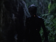 Filename=extant_StarTrek_VOY_6x02-SurvivalInstinct_02663.jpg
Filesize=123KiB
Dimensions=1200x900
Date added=Dec 27, 2019 extant_StarTrek_VOY_6x02-SurvivalInstinct_02663.jpg