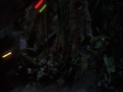 extant_StarTrek_VOY_6x02-SurvivalInstinct_02694.jpg