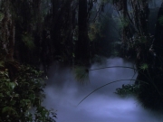 extant_StarTrek_VOY_6x02-SurvivalInstinct_02698.jpg