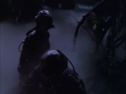 extant_StarTrek_VOY_6x02-SurvivalInstinct_02725.jpg