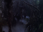 extant_StarTrek_VOY_6x02-SurvivalInstinct_02738.jpg
