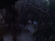 extant_StarTrek_VOY_6x02-SurvivalInstinct_02739.jpg