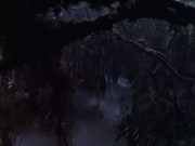 extant_StarTrek_VOY_6x02-SurvivalInstinct_02740.jpg