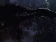 extant_StarTrek_VOY_6x02-SurvivalInstinct_02741.jpg