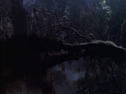 Filename=extant_StarTrek_VOY_6x02-SurvivalInstinct_02742.jpg
Filesize=135KiB
Dimensions=1200x900
Date added=Dec 27, 2019 extant_StarTrek_VOY_6x02-SurvivalInstinct_02742.jpg