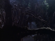 Filename=extant_StarTrek_VOY_6x02-SurvivalInstinct_02743.jpg
Filesize=144KiB
Dimensions=1200x900
Date added=Dec 27, 2019 extant_StarTrek_VOY_6x02-SurvivalInstinct_02743.jpg