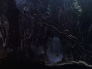 Filename=extant_StarTrek_VOY_6x02-SurvivalInstinct_02744.jpg
Filesize=161KiB
Dimensions=1200x900
Date added=Dec 27, 2019 extant_StarTrek_VOY_6x02-SurvivalInstinct_02744.jpg