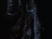 Filename=extant_StarTrek_VOY_6x02-SurvivalInstinct_02748.jpg
Filesize=98KiB
Dimensions=1200x900
Date added=Dec 27, 2019 extant_StarTrek_VOY_6x02-SurvivalInstinct_02748.jpg