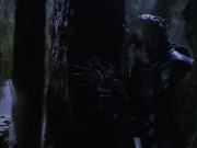 Filename=extant_StarTrek_VOY_6x02-SurvivalInstinct_02751.jpg
Filesize=135KiB
Dimensions=1200x900
Date added=Dec 27, 2019 extant_StarTrek_VOY_6x02-SurvivalInstinct_02751.jpg
