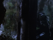 Filename=extant_StarTrek_VOY_6x02-SurvivalInstinct_02753.jpg
Filesize=147KiB
Dimensions=1200x900
Date added=Dec 27, 2019 extant_StarTrek_VOY_6x02-SurvivalInstinct_02753.jpg