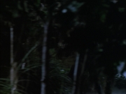 Filename=extant_StarTrek_VOY_6x02-SurvivalInstinct_02756.jpg
Filesize=111KiB
Dimensions=1200x900
Date added=Dec 27, 2019 extant_StarTrek_VOY_6x02-SurvivalInstinct_02756.jpg