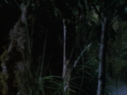 Filename=extant_StarTrek_VOY_6x02-SurvivalInstinct_02757.jpg
Filesize=130KiB
Dimensions=1200x900
Date added=Dec 27, 2019 extant_StarTrek_VOY_6x02-SurvivalInstinct_02757.jpg