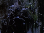 extant_StarTrek_VOY_6x02-SurvivalInstinct_02763.jpg