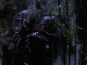 extant_StarTrek_VOY_6x02-SurvivalInstinct_02764.jpg