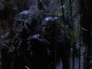 Filename=extant_StarTrek_VOY_6x02-SurvivalInstinct_02768.jpg
Filesize=167KiB
Dimensions=1200x900
Date added=Dec 27, 2019 extant_StarTrek_VOY_6x02-SurvivalInstinct_02768.jpg