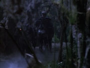 extant_StarTrek_VOY_6x02-SurvivalInstinct_02779.jpg
