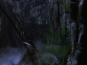 Filename=extant_StarTrek_VOY_6x02-SurvivalInstinct_02782.jpg
Filesize=145KiB
Dimensions=1200x900
Date added=Dec 27, 2019 extant_StarTrek_VOY_6x02-SurvivalInstinct_02782.jpg