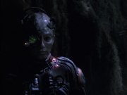 Filename=extant_StarTrek_VOY_6x02-SurvivalInstinct_02805.jpg
Filesize=130KiB
Dimensions=1200x900
Date added=Dec 27, 2019 extant_StarTrek_VOY_6x02-SurvivalInstinct_02805.jpg